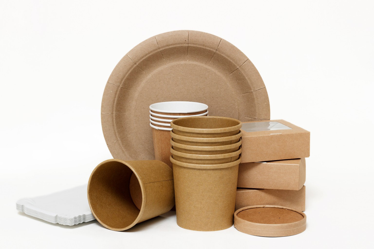 Paper Industry — Protege Chemicals